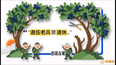 第7节：修剪决定产量（下）&mdash;&mdash;结果树的更新与疏果，课程：《蓝莓&ldquo;高产&rdquo;实战课：从选苗到丰收的10个关键点》