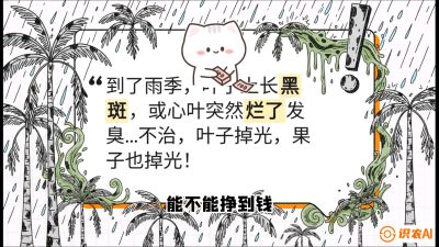 第05节：常见真菌病害&mdash;&mdash;&ldquo;炭疽与烂心，早防值千金&rdquo;《槟榔种植：从不懂到精通的10堂必修课》