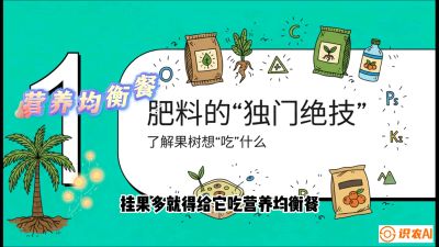第07节：科学施肥&mdash;&mdash;&ldquo;氮磷钾配好，树壮果不倒