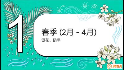 第10节：周年农事日历&mdash;&mdash;&ldquo;跟着节气走，丰产在手头&rdquo;《槟榔种植：从不懂到精通的10堂必修课》