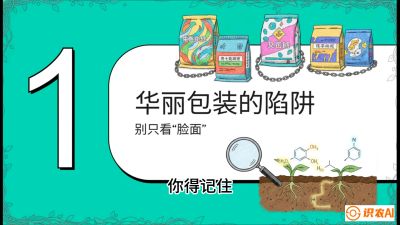 第4节：【黄金配方】底肥里的&ldquo;铁三角&rdquo;与&ldquo;微量雷区&rdquo;课程：《柑橘底肥&ldquo;翻身账&rdquo;：从改土到高产的实战全书》
