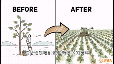 第02节：把树变成草&mdash;&mdash;&ldquo;草本化密植&rdquo;技术，课程：《桑海淘金：桑树高产与蚕桑安全进阶实战课》