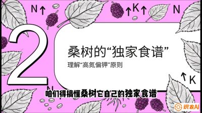 第04节：地下核动力&mdash;&mdash;桑树专用水肥一体化配方，课程：《桑海淘金：桑树高产与蚕桑安全进阶实战课》