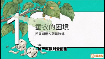 第06节：虫口夺叶（上）&mdash;&mdash;物理与生物防控绝技，课程《桑海淘金：桑树高产与蚕桑安全进阶实战课》