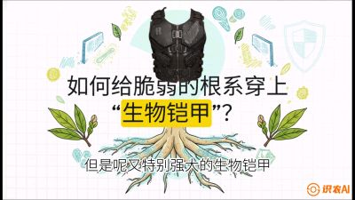 第三节：国产榴莲突围战：根系堡垒，菌根微生态构建与黄金定植窗口，课程：《国产榴莲突围战：从泰国经验到中国实操的8堂必修课（高阶实战版）》