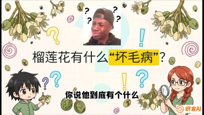 第六节：榴莲的午夜战事，夜间授粉战与花果期避雨策略，课程：《国产榴莲突围战：从泰国经验到中国实操的8堂必修课（高阶实战版）》