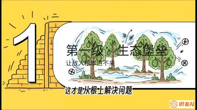 第七节：榴莲防御战：病虫害三级立体防控，疫霉菌与虫害的立体封锁线，课程：《国产榴莲突围战：从泰国经验到中国实操的8堂必修课（高阶实战版）》