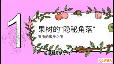 第3节：无人机专治&ldquo;打不透&rdquo;&mdash;&mdash;果树与高杆作物的穿透技巧，课程：《无人机植保搞钱必修课：从&ldquo;瞎飞&rdquo;到&ldquo;懂行&rdquo;的6步进阶》