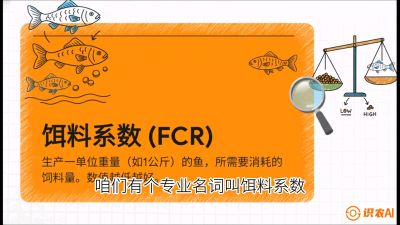 第五节：【高端单品&middot;鳜鱼】&ldquo;饲料鳜&rdquo;技术：打破吃活饵的高成本魔咒，课程：《黄金鳞甲：2025中国淡水鱼高效养殖实战营》