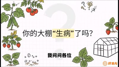 第2节（解毒篇）： 大棚里的&ldquo;红白绿&rdquo;警报&mdash;&mdash;读懂土壤盐渍化的求救信号，课程：《揭秘土壤的秘密：让土地帮你赚钱》#识农AI