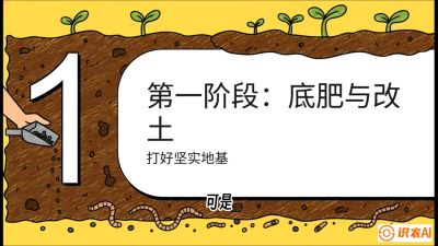 第6节（统筹篇）： 省钱又增产的&ldquo;黄金配比&rdquo;&mdash;&mdash;不同作物全年的养土实操方案，课程：《揭秘土壤的秘密：让土地帮你赚钱》#识农AI