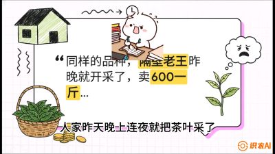 第01节（抢早篇）：与老天爷抢饭吃：如何利用&ldquo;温差阈值&rdquo;让头采茶提前5天上市？，课程：《茶金时代：从&ldquo;看天吃饭&rdquo;到&ldquo;精准控局&rdquo;的茶叶高产提质实战课》