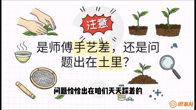 第02节（土肥篇）：告别&ldquo;苦涩水味&rdquo;：揭秘&ldquo;碳氮比&rdquo;调控术，种出自带兰花香的好茶底，课程：《茶金时代：从&ldquo;看天吃饭&rdquo;到&ldquo;精准控局&rdquo;的茶叶高产提质实战课》