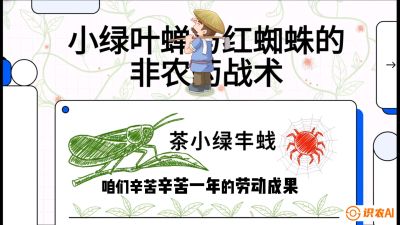 第03节（虫害篇）：看不见的吸血鬼：小绿叶蝉与红蜘蛛的&ldquo;非农药&rdquo;团灭战术（抗性治理），课程：《茶金时代：从&ldquo;看天吃饭&rdquo;到&ldquo;精准控局&rdquo;的茶叶高产提质实战课》