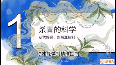 第05节（加工篇）：决胜2分钟：用&ldquo;数字温控&rdquo;破解杀青不匀，复刻大师级手工口感，课程：《茶金时代：从&ldquo;看天吃饭&rdquo;到&ldquo;精准控局&rdquo;的茶叶高产提质实战课》