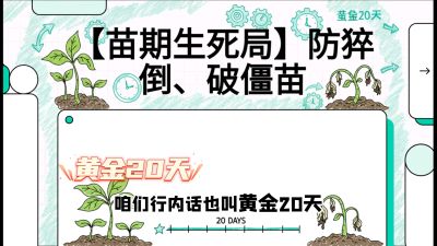第2节：【苗期生死局】防猝倒、破僵苗，决定后期产量的&ldquo;黄金20天&rdquo;，课程：《辣椒种植实战特训营，从工业辣椒到精品小米辣，教你如何把&ldquo;草&rdquo;种成&ldquo;金&rdquo;》