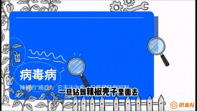 第5节：【病毒病阻击】辣椒的&ldquo;癌症&rdquo;怎么治？从&ldquo;绝收恐慌&rdquo;到&ldquo;带毒生产&rdquo;的逆转术，课程：《辣椒种植实战特训营，从工业辣椒到精品小米辣，教你如何把&ldquo;草&rdquo;种成&ldquo;金&rdquo;》
