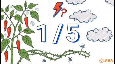 第6节：【花果爆发术】落花落果的五大元凶，与&ldquo;三喷一保&rdquo;坐果黑科技，课程：《辣椒种植实战特训营，从工业辣椒到精品小米辣，教你如何把&ldquo;草&rdquo;种成&ldquo;金&rdquo;》