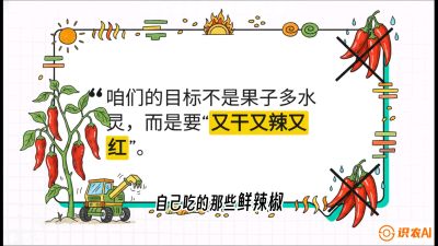 第7节：【工业辣椒专场】追求极致辣度！干物质提升与机械化采收的&ldquo;催红秘籍&rdquo;，课程：《辣椒种植实战特训营，从工业辣椒到精品小米辣，教你如何把&ldquo;草&rdquo;种成&ldquo;金&rdquo;》
