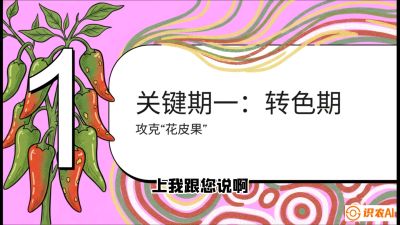 第8节：【小米辣线椒专场】颜值即正义！防花皮、防炭疽，打造收购商抢着要的&ldquo;精品果&rdquo;，课程：《辣椒种植实战特训营，从工业辣椒到精品小米辣，教你如何把&ldquo;草&rdquo;种成&ldquo;金&rdquo;》