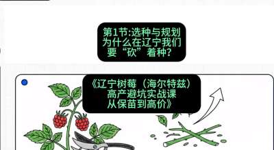 第一节： 选种与规划&mdash;&mdash;为什么在辽宁我们要&ldquo;砍&rdquo;着种？，课程：《辽宁树莓（海尔特兹）高产避坑实战课：从保苗到高价》