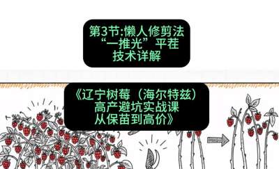 第三节： 懒人修剪法&mdash;&mdash;&ldquo;一推光&rdquo;平茬技术详解，课程：《辽宁树莓（海尔特兹）高产避坑实战课：从保苗到高价》