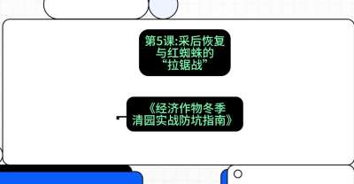 第5节：【柑橘清园】采后恢复与红蜘蛛的&ldquo;拉锯战&rdquo;，课程：《经济作物冬季清园&middot;实战防坑指南》#识农AI