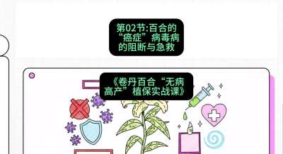 第02节：百合的&ldquo;癌症&rdquo;&mdash;&mdash;病毒病的阻断与急救，课程：《卷丹百合&ldquo;无病高产&rdquo;植保实战课》#识农AI