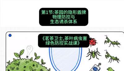 第01节：茶园的&ldquo;隐形盾牌&rdquo;&mdash;&mdash;物理防控与生态诱杀体系，课程：《茗茶卫士&mdash;&mdash;茶叶病虫害绿色防控实战课》#识农AI