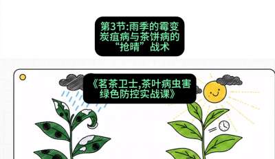 第03节：雨季的霉变&mdash;&mdash;炭疽病与茶饼病的&ldquo;抢晴&rdquo;战术，课程：《茗茶卫士&mdash;&mdash;茶叶病虫害绿色防控实战课》#识农AI