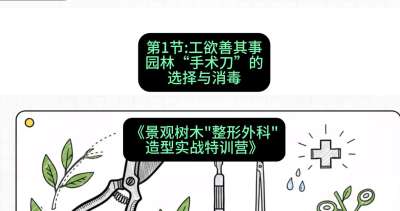 第01节：工欲善其事&mdash;&mdash;园林&ldquo;手术刀&rdquo;的选择与消毒，课程：《景观树木&ldquo;整形外科&rdquo;造型实战特训营》#识农AI