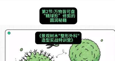 第02节：万物皆可盘&mdash;&mdash;&ldquo;精球形&rdquo;修剪的圆润秘籍，课程：《景观树木&ldquo;整形外科&rdquo;造型实战特训营》#识农AI