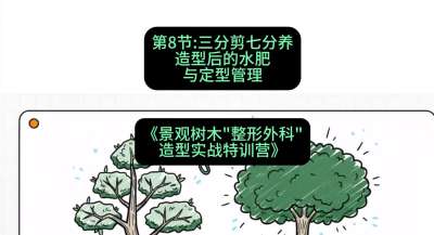 第08节：三分剪七分养&mdash;&mdash;造型后的水肥与定型管理，课程：《景观树木&ldquo;整形外科&rdquo;造型实战特训营》#识农AI