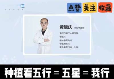 中药材淫羊藿怎么种？听专家一次讲明白！不挑地块好管理，耐寒耐旱省心省力，新手也能轻松上手，药用价值高、市场需求稳，妥妥的增收好品种～ 从生长习性到采收要点，干货满满无废话，种植疑问直接问，一对一答疑解