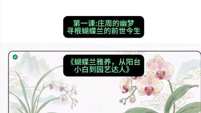 第一节：庄周的幽梦：寻根蝴蝶兰的前世今生，课程：《蝴蝶兰雅养六讲：从阳台小白到园艺达人》#识农AI