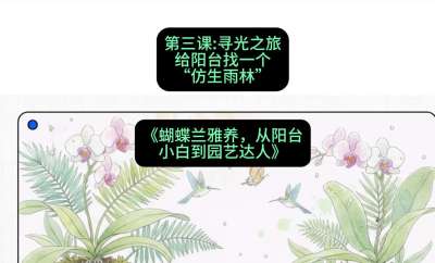 第三节：寻光之旅：给阳台找一个&ldquo;仿生雨林&rdquo;，课程：《蝴蝶兰雅养六讲：从阳台小白到园艺达人》#识农AI