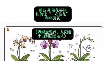 第四节：催花秘籍：如何让&ldquo;一次性花&rdquo;年年复花，课程：《蝴蝶兰雅养六讲：从阳台小白到园艺达人》#识农AI