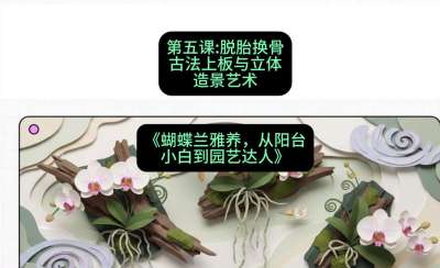 第五节：脱胎换骨：古法上板与立体造景艺术，课程：《蝴蝶兰雅养六讲：从阳台小白到园艺达人》#识农AI